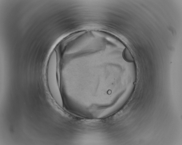 X0000112090864200909011103