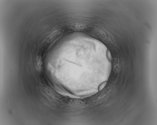 X0000112090866200909011102