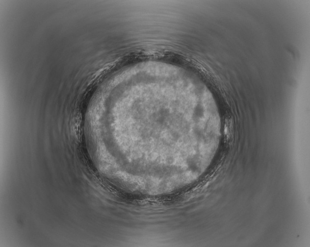 X0000112090867200909011102