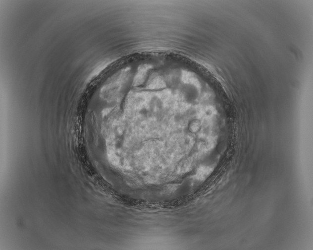 X0000112090871200909011102