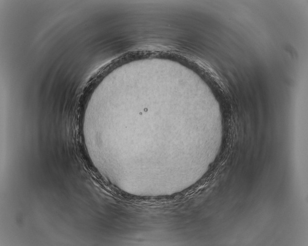 X0000112090872200909011102