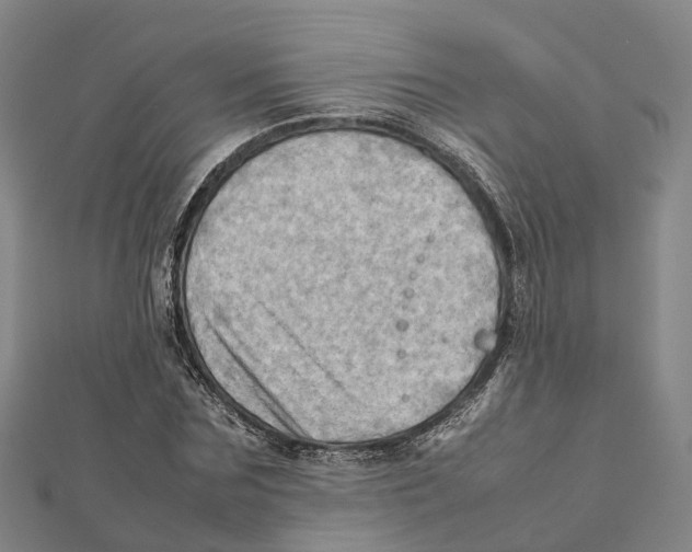 X0000112090875200909011102