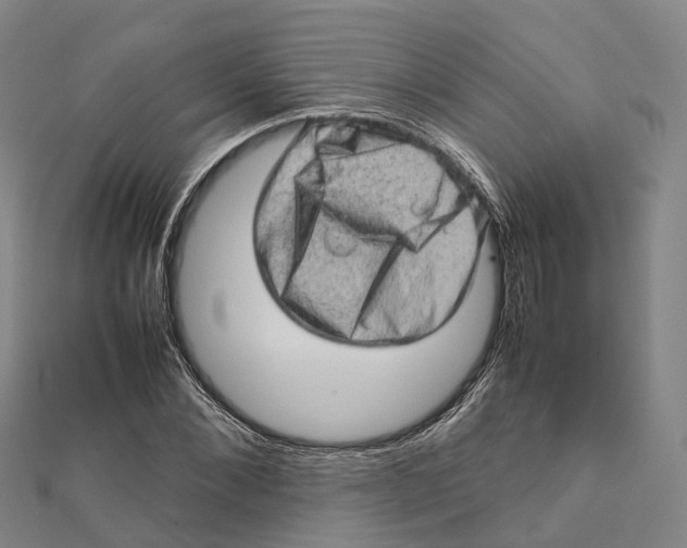 X0000112090876200909011102