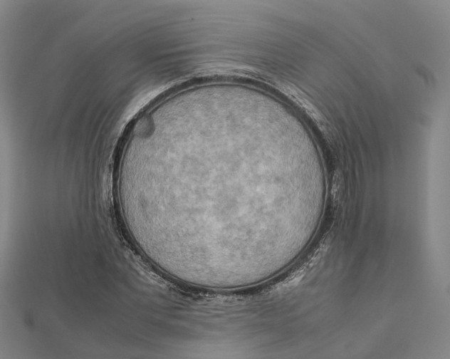 X0000112090877200909011102