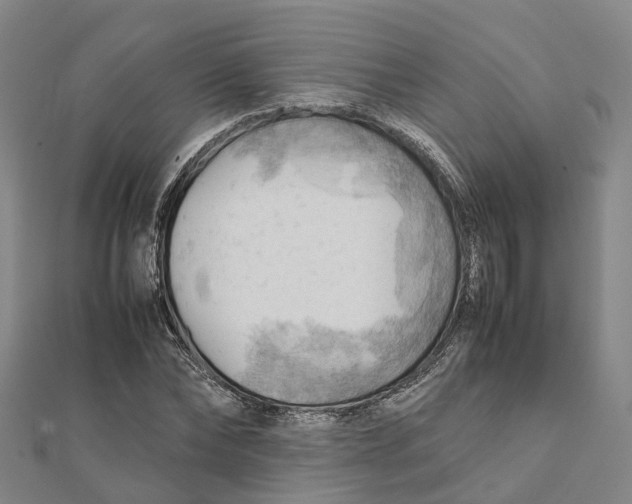 X0000112090878200909011102
