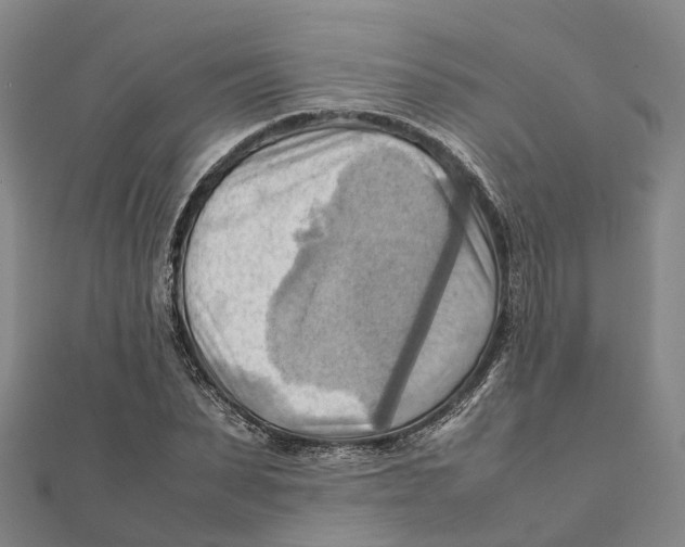 X0000112090879200909011102