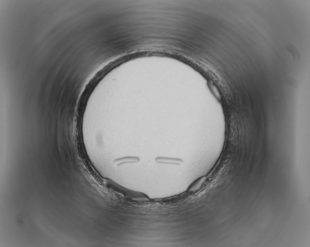 X0000112090880200909011102