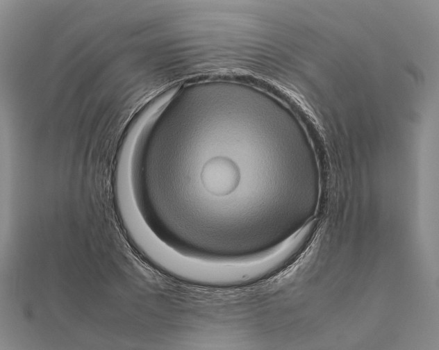 X0000112090881200909011102
