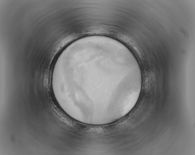 X0000112090882200909011102