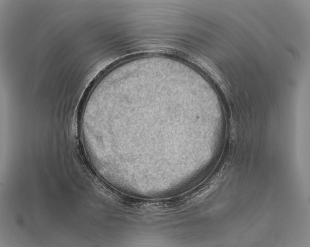 X0000112090883200909011102