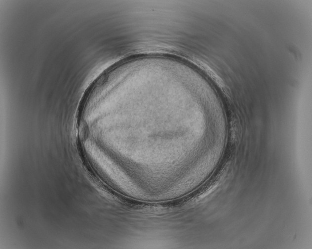 X0000112090885200909011102