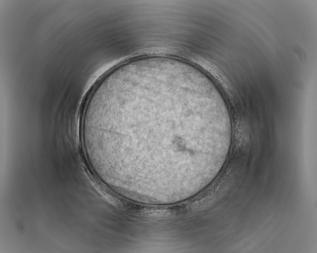 X0000112090886200909011102