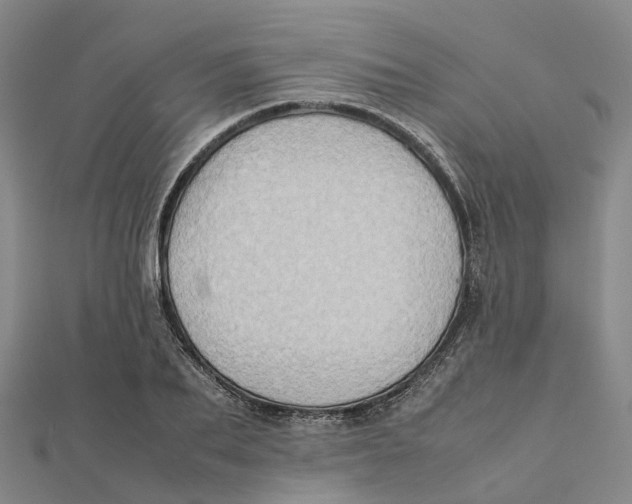 X0000112090887200909011102
