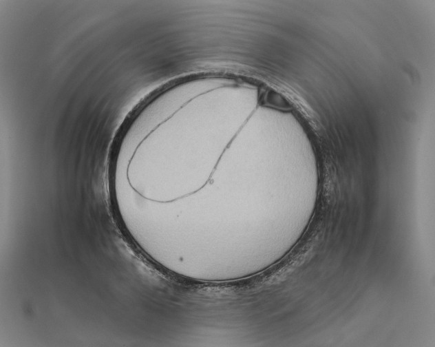 X0000112090888200909011102