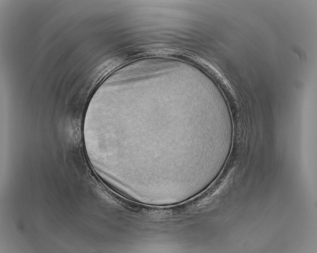 X0000112090889200909011102