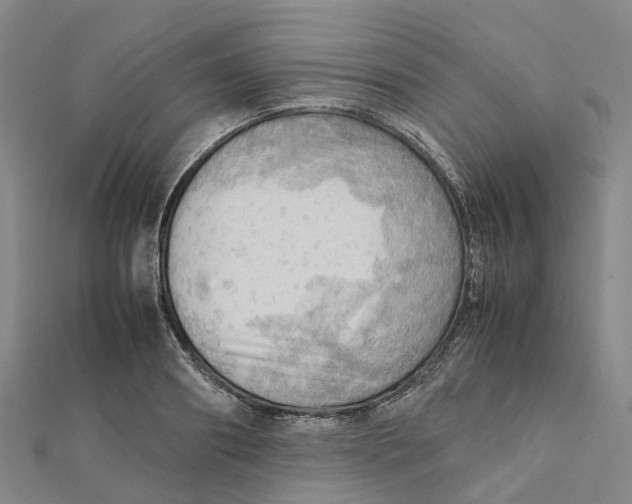 X0000112090890200909011102