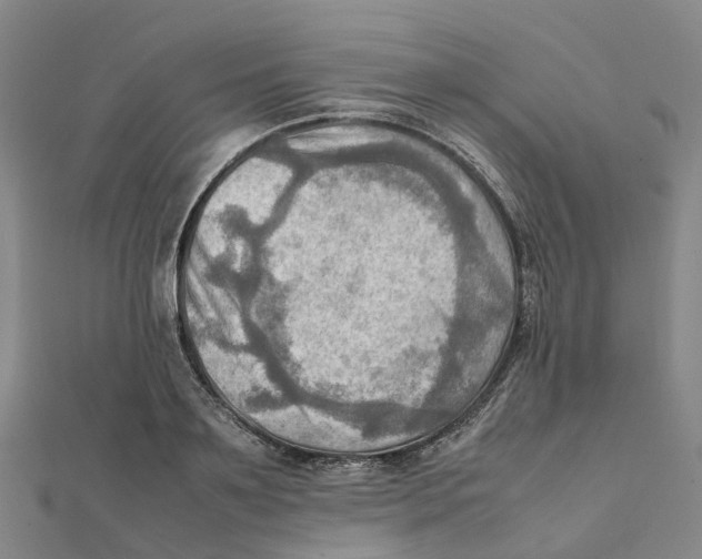 X0000112090891200909011102