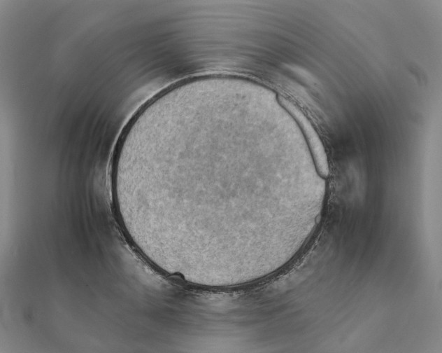 X0000112090892200909011102