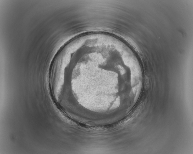 X0000112090895200909011102
