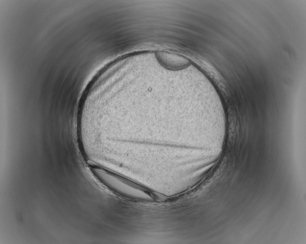 X0000112090896200909011102