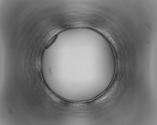X0000112090897200909011102