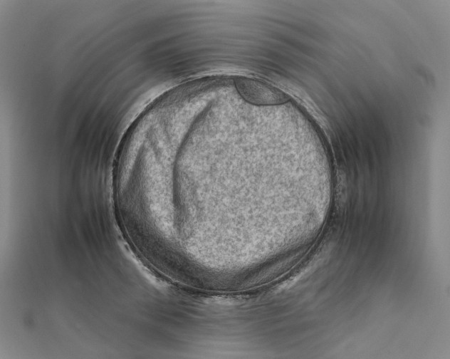 X0000112090898200909011102