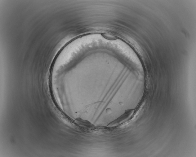 X0000112090899200909011102