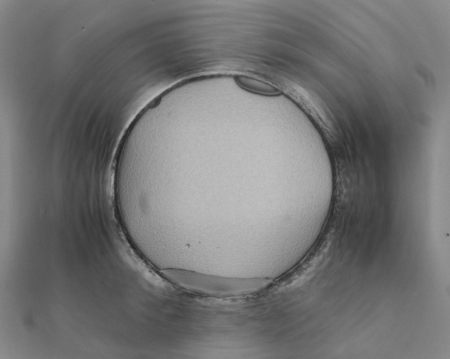 X0000112090900200909011102
