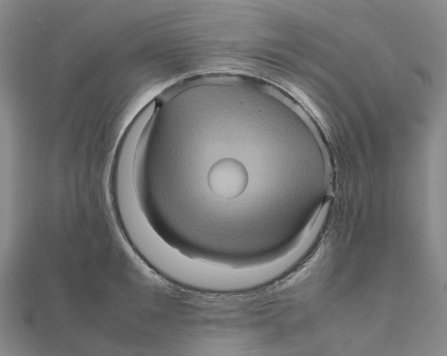 X0000112090901200909011102