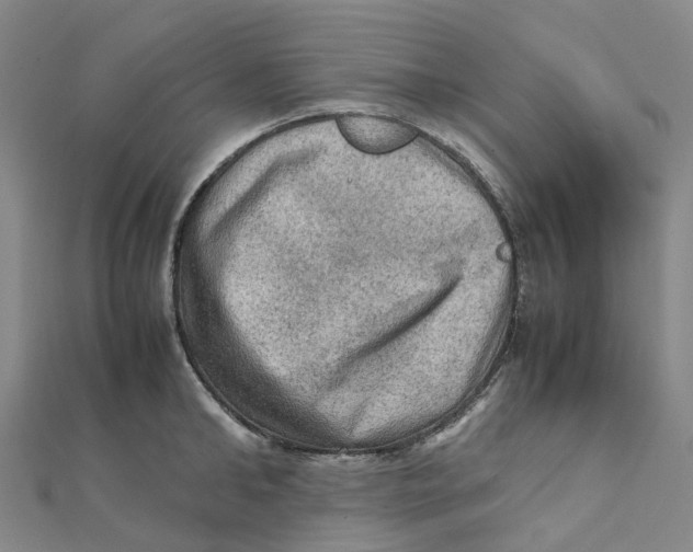 X0000112090902200909011102
