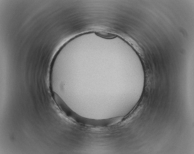 X0000112090904200909011102