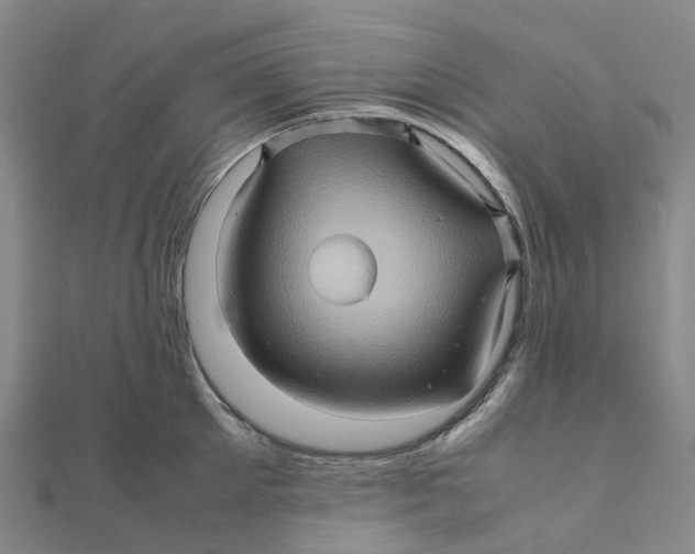 X0000112090905200909011102
