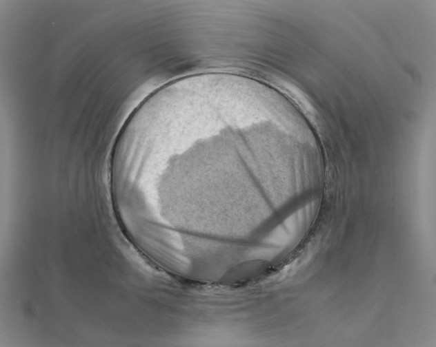 X0000112090907200909011102