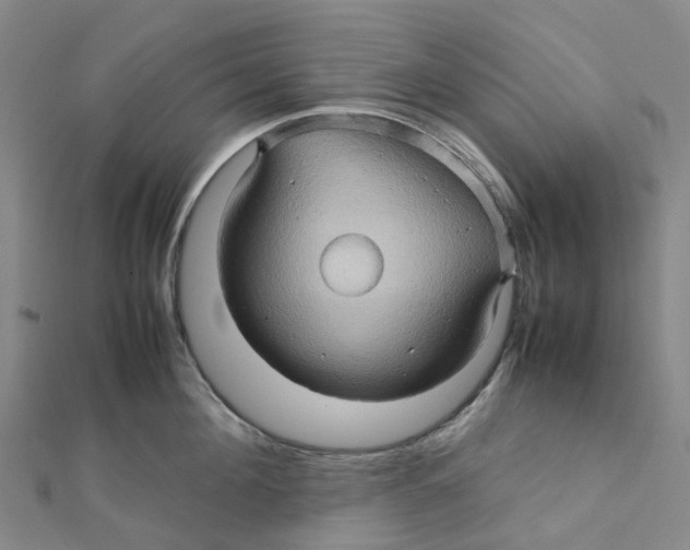 X0000112090908200909011102