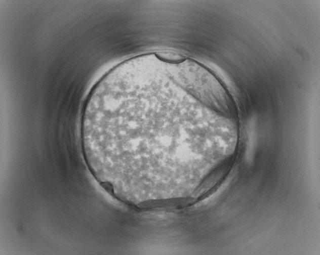 X0000112090910200909011102