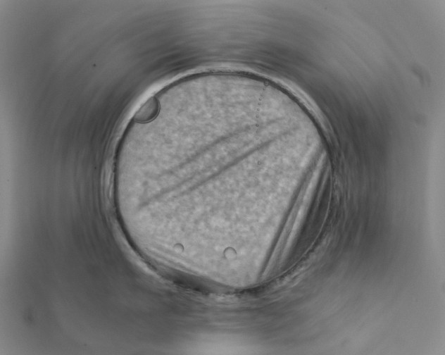 X0000112090911200909011102