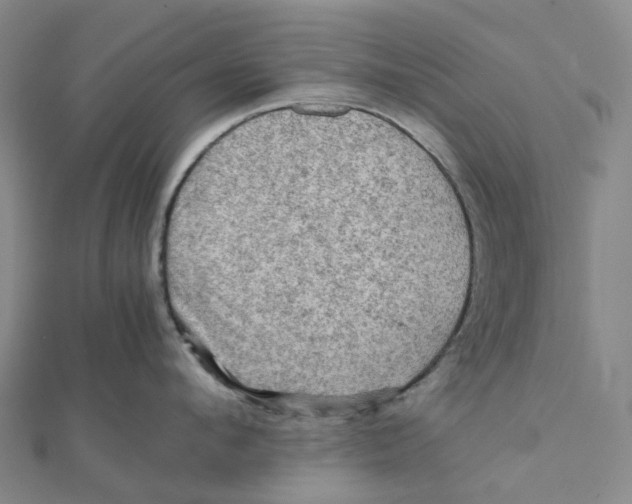 X0000112090912200909011102