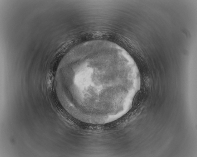 X0000112090914200909011101
