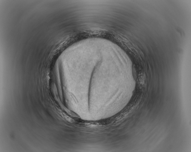 X0000112090916200909011101