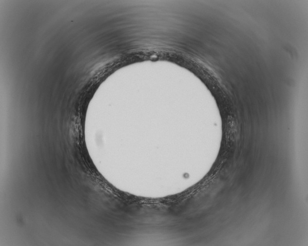 X0000112090918200909011101