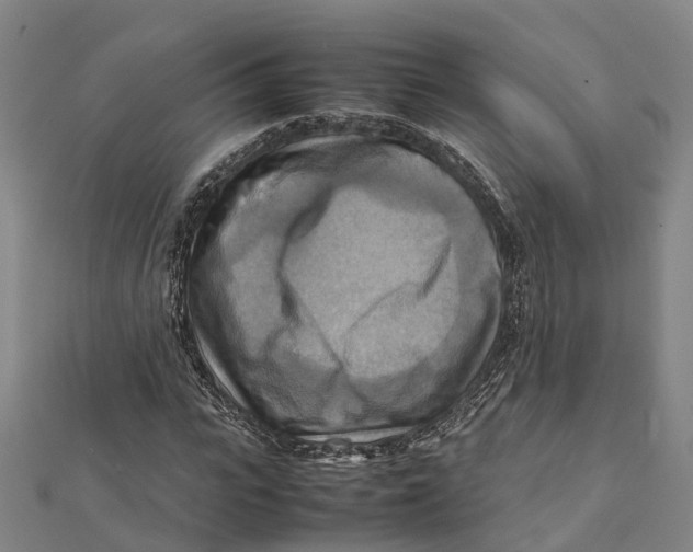 X0000112090919200909011101