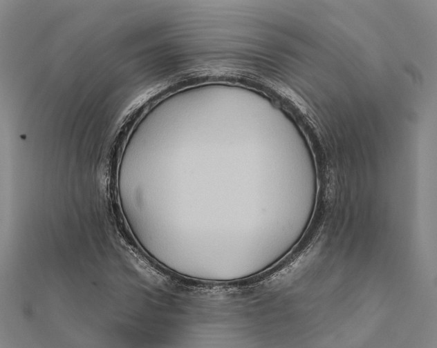 X0000112090922200909011101