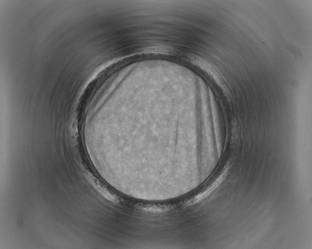 X0000112090923200909011101