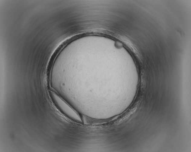 X0000112090924200909011101