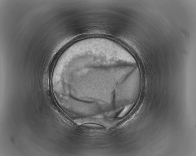 X0000112090925200909011101