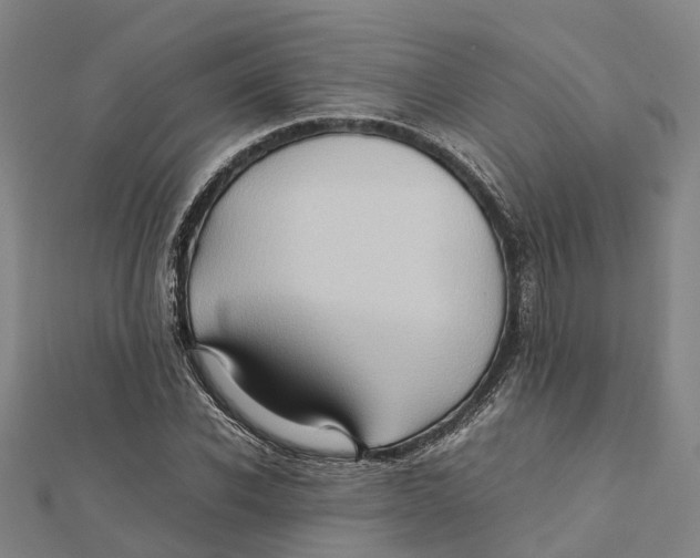 X0000112090926200909011101