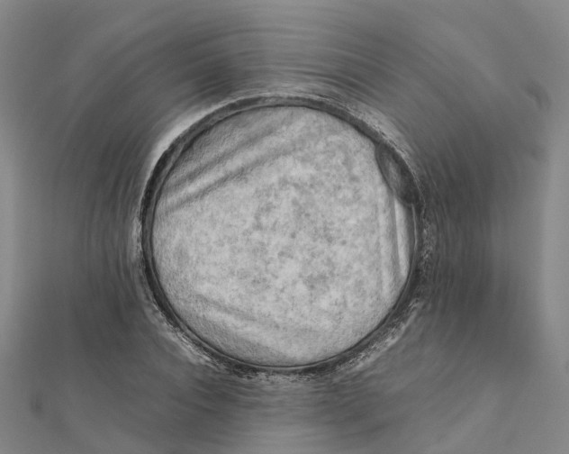 X0000112090928200909011101