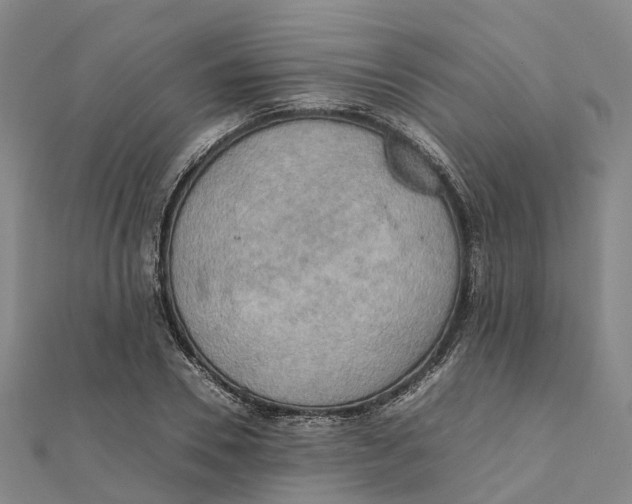 X0000112090930200909011101