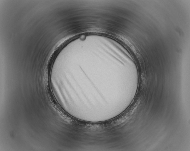 X0000112090931200909011101