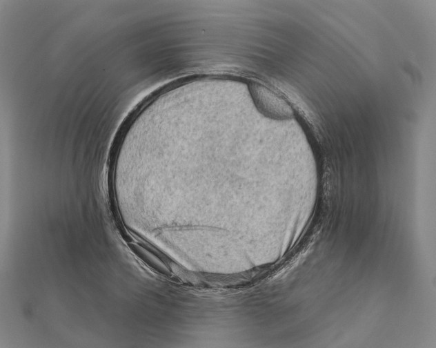 X0000112090932200909011101
